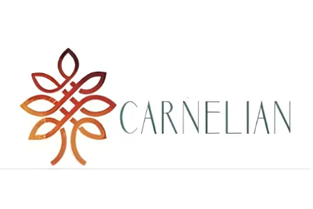 zkuy9o8levpl8vn9gjwd