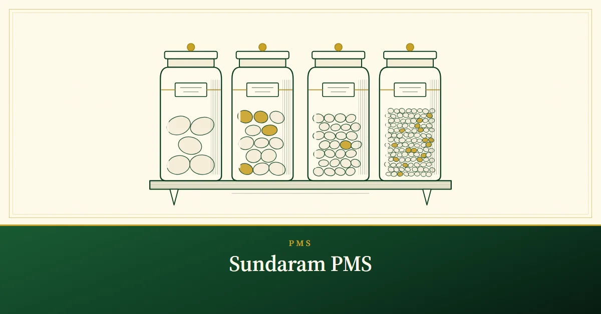Sundaram PMS: SELF, SISOP, Rising Stars and Voyager Strategies, engraved illustration of four glass jars on a shelf holding stones of four different sizes