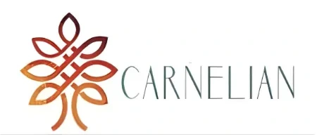 Carnelian Asset Management — PMS Partner Kalviro Ventures